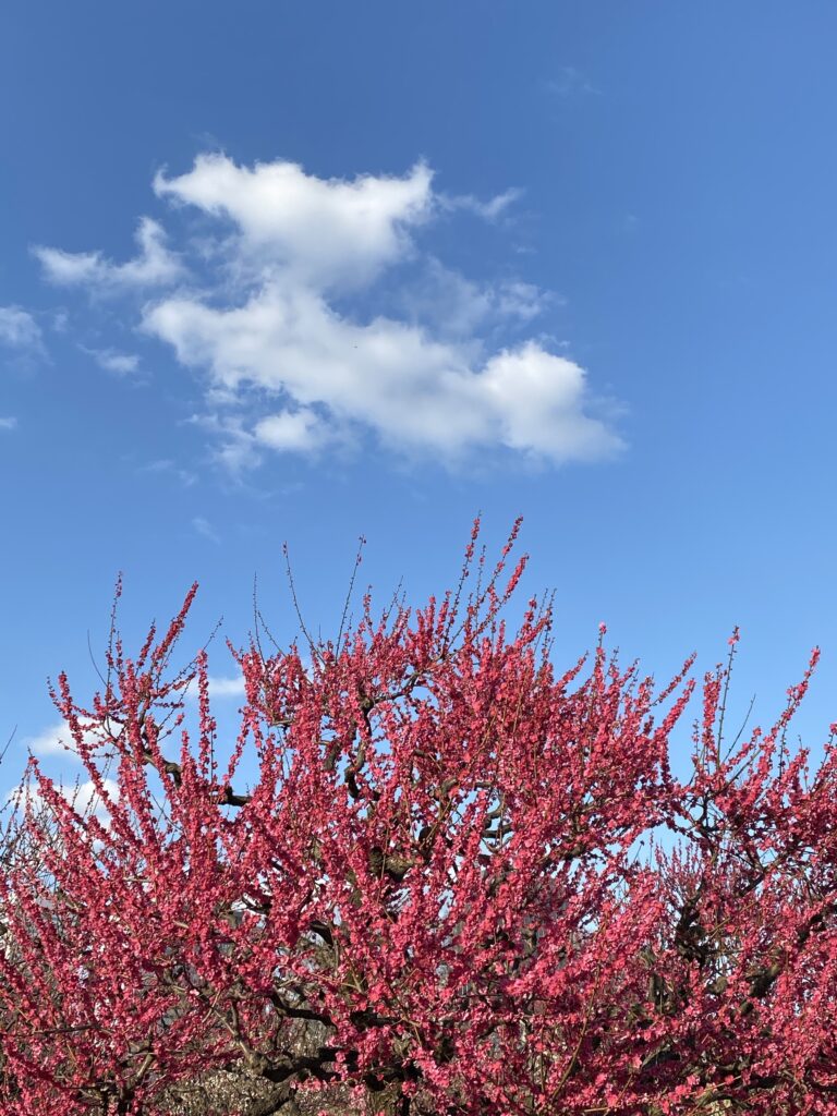 大阪城
