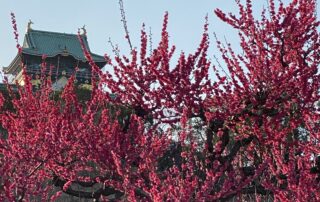 大阪城
