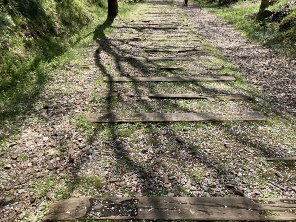 国鉄福知山線廃線跡