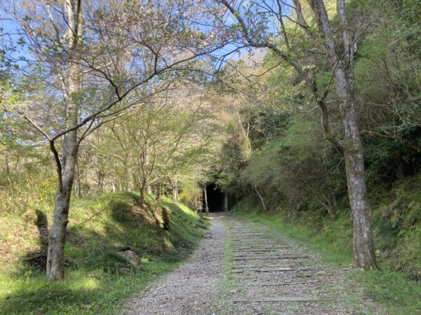 国鉄福知山線廃線跡