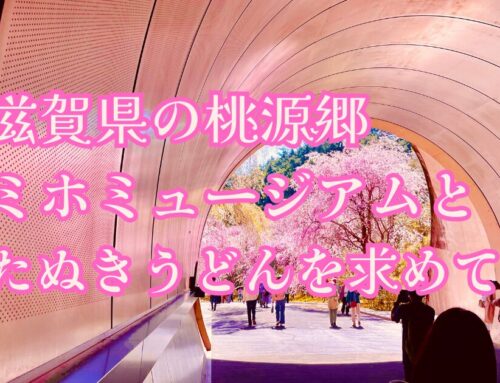 【桃源郷】滋賀県にあるミホミュージアムの桜とたぬきうどんを求めて
