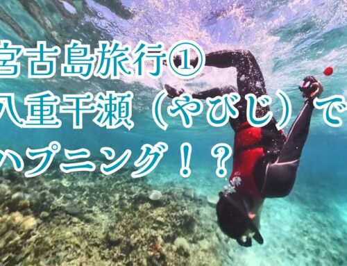 【宮古島旅行①】宮古ブルーの美しさ。八重干瀬でハプニングdeシュノーケリング