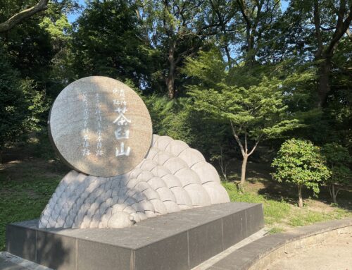 【朝活】茶臼山のてっぺん目指して！ウォーキング道