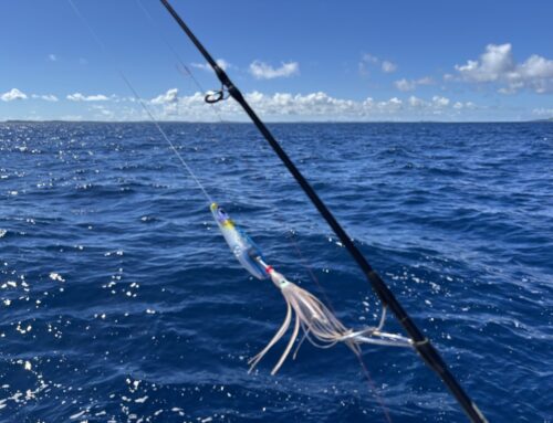 【宮古島2日目】猛暑の中での高級魚を狙う船釣りと反則級インチク